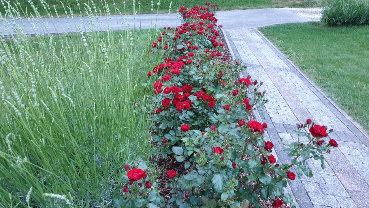 Apartmani Sanja كرابينسك توبليس المظهر الخارجي الصورة